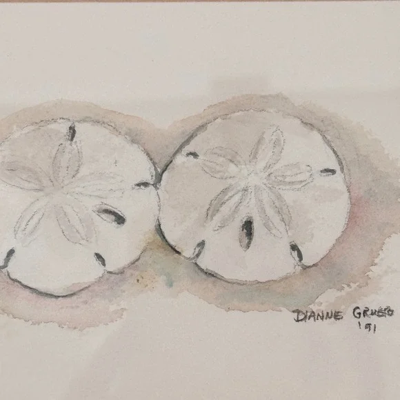 Original Sand Dollar Watercolor Still Life Signed Dianne Grusso 1991